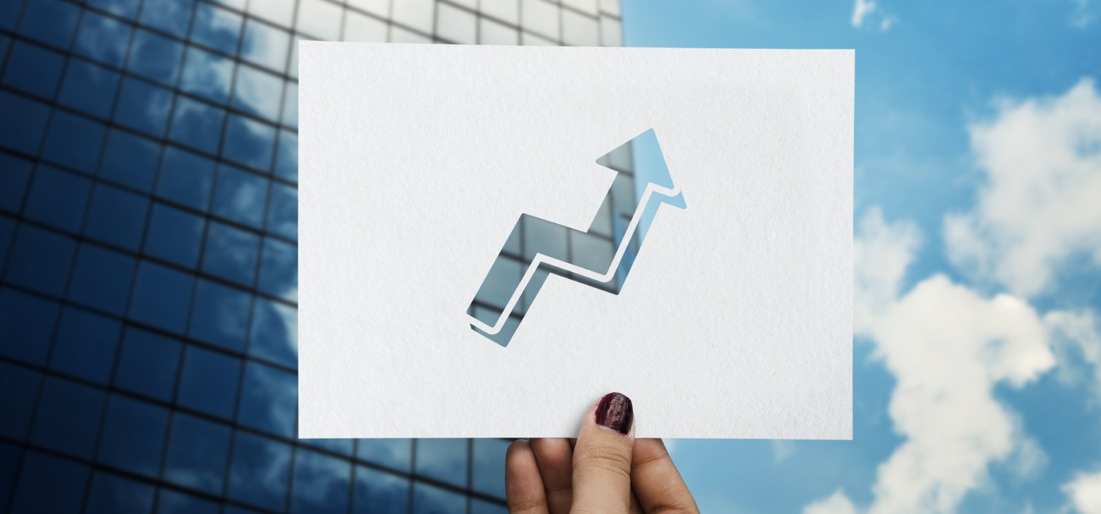 Welcome to Falcon Global Consulting: Where Vision Meets Action